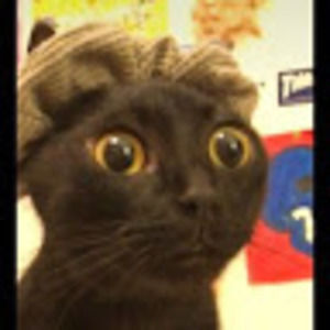 Meet your Posher, Jillian